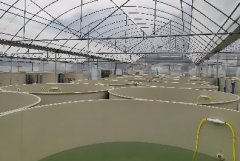 高密度PP养殖池：环保水产养殖的趋势
